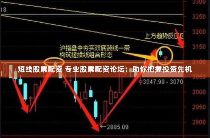短线股票配资 专业股票配资论坛：助你把握投资先机