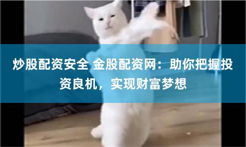 炒股配资安全 金股配资网：助你把握投资良机，实现财富梦想
