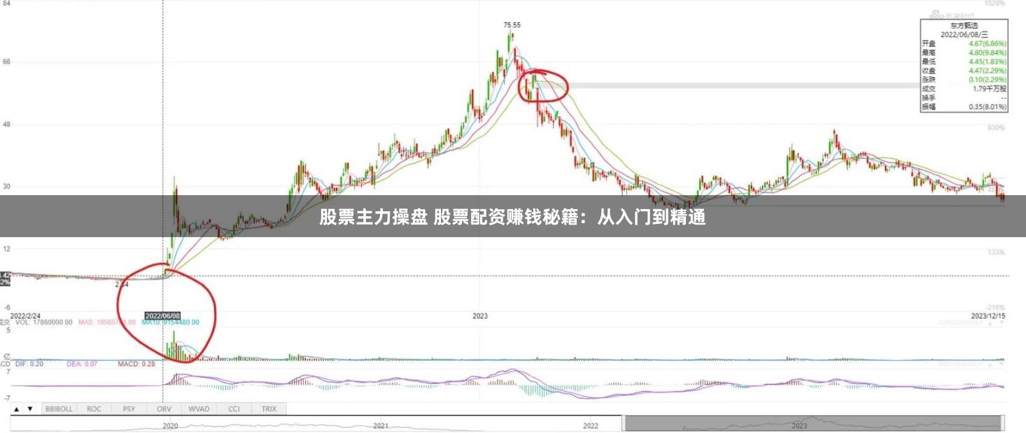 股票主力操盘 股票配资赚钱秘籍：从入门到精通