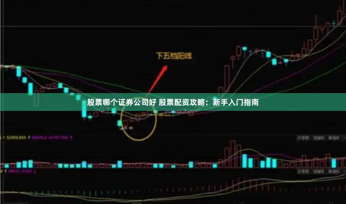 股票哪个证券公司好 股票配资攻略：新手入门指南