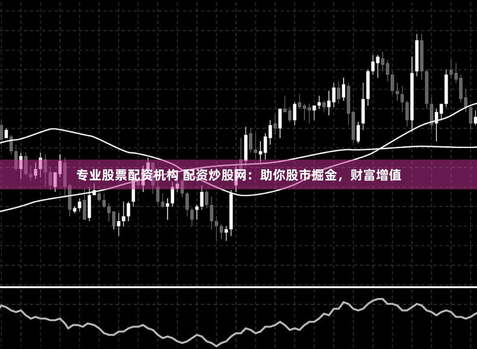 专业股票配资机构 配资炒股网：助你股市掘金，财富增值
